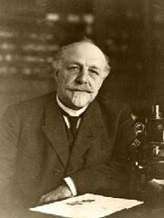 File:180px-Brachet Albert.jpg