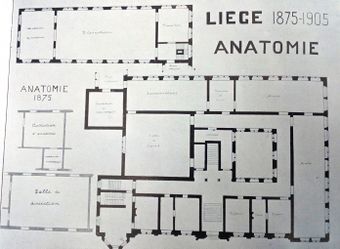File:340px-Bouwplaninstitutanatomiqueliege.jpg