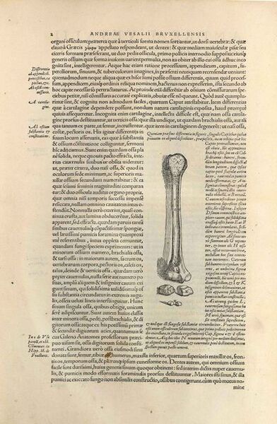 File:400px-Fabrica bot.jpg