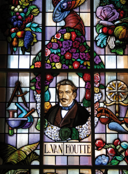 File:20130813143608!Glasraam Van houtte.png