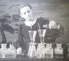 Van risseghem hortenseportal.jpg