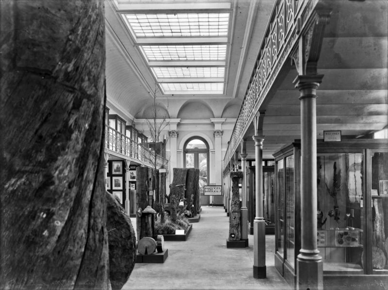 File:1200px-Bos 03.jpg