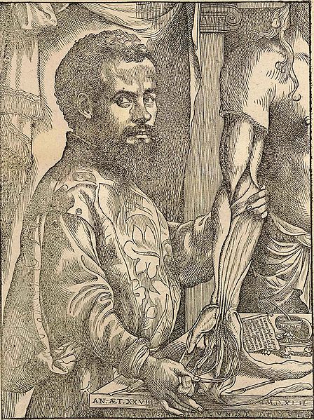 File:Vesalius andreas.jpg