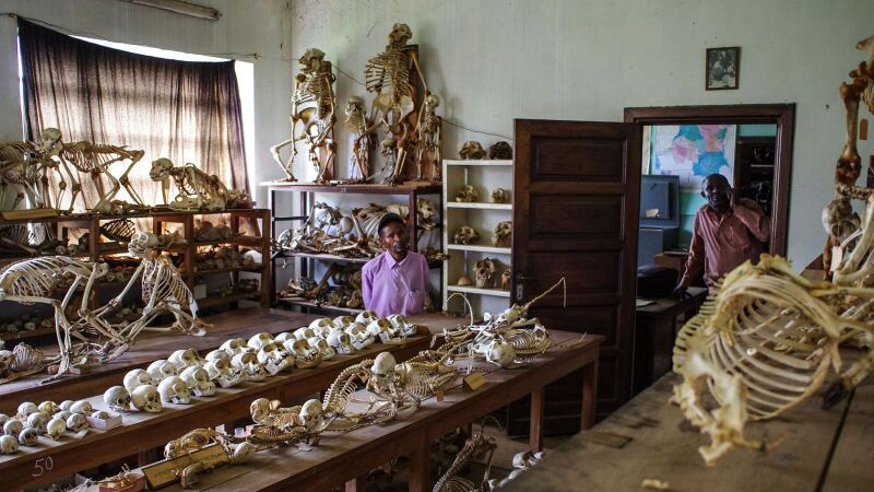 File:1600px-Congo Autrement 2.jpg