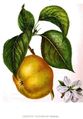 20130219113918!Annales de pomologie belge et étrangère.jpg