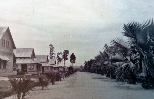 L’allée centrale du complexe hospitalier de Kisantu. Source: Malengreau, Une fondation médicale au Congo belge