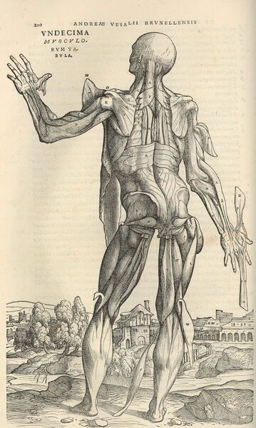 File:20140916092027!Fabrica spierman.jpg