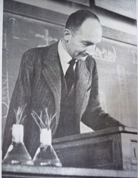 File:20170210150640!Martens Pierre.jpeg