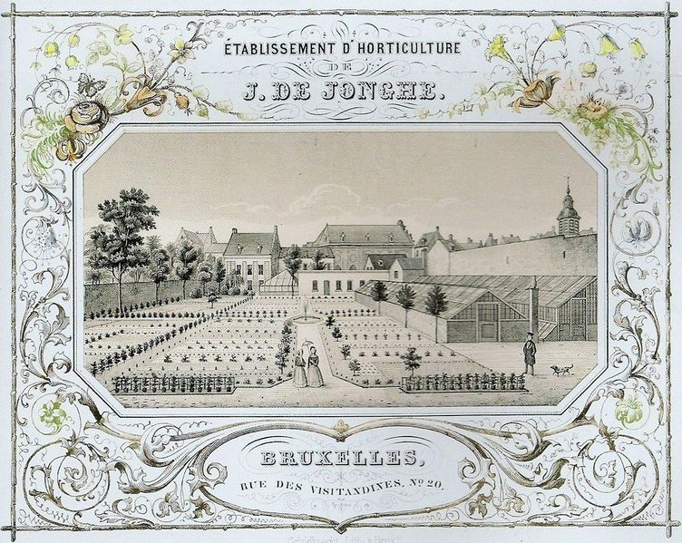 File:1128px-Kwekerij De Jonghe.jpg