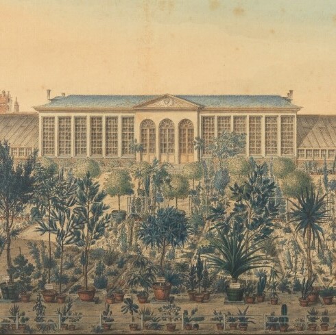 File:Orangerie Gand gallerij.jpg