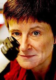 File:Verfaillie catherine.jpg