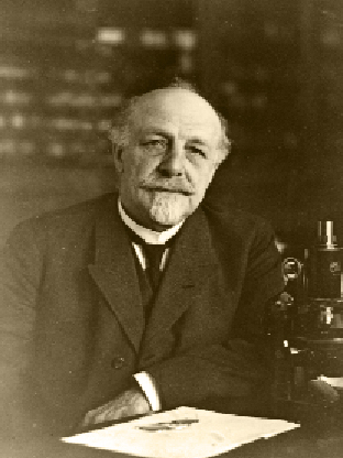 File:Brachet Albert.jpg