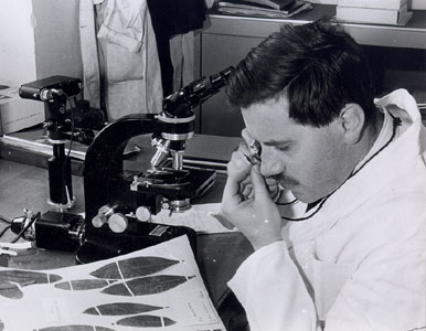 File:Robyns, Andre.jpg