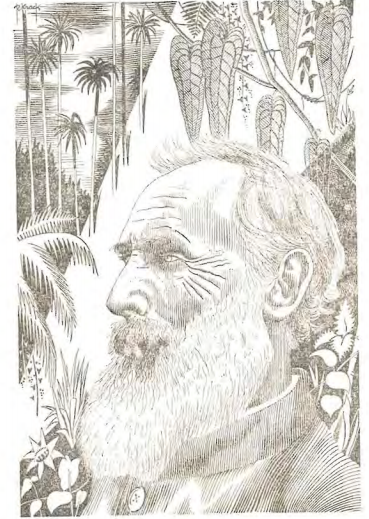 Bron: De Lamine de Bex, R., Le Jardin Gillet, Kisantu, 1969.