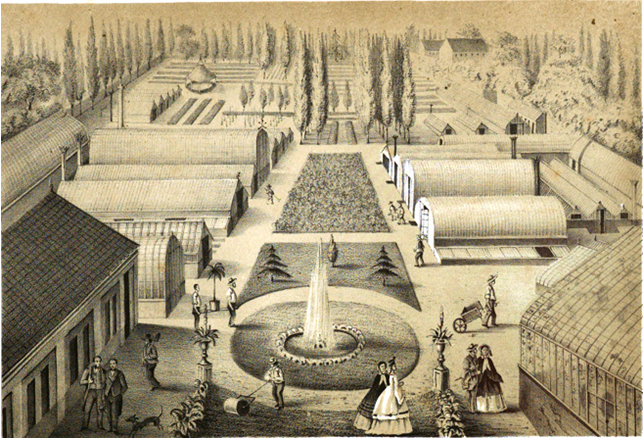 File:Verschaffelt kwekerij.png