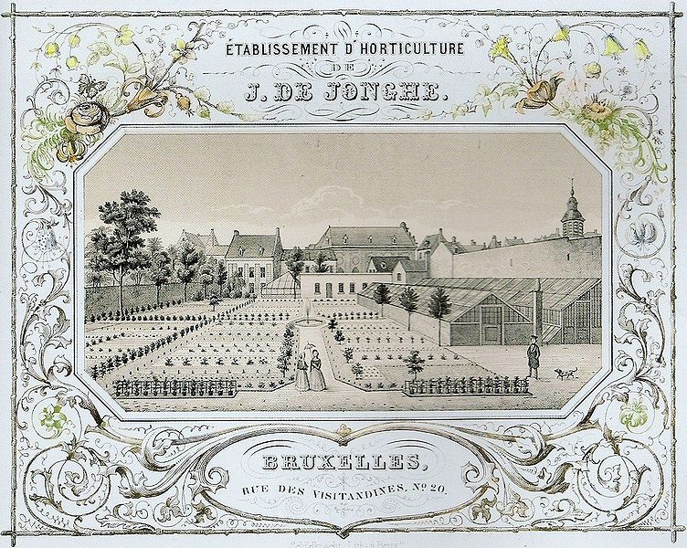 File:Kwekerij De Jonghe.jpg
