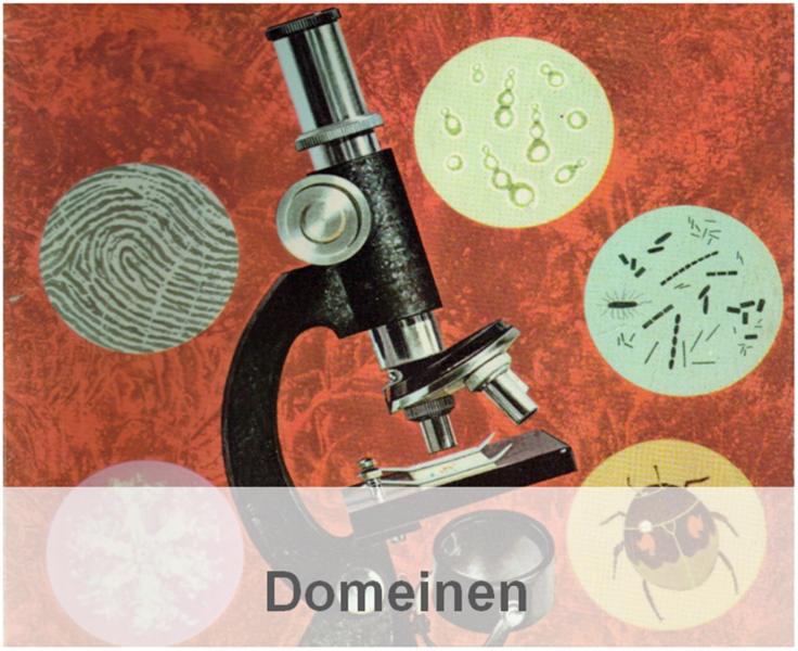 File:Domeinentitel.png
