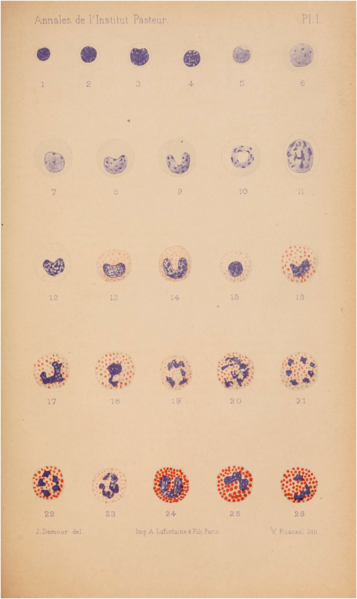 File:Plaat Annales de Pasteur.png