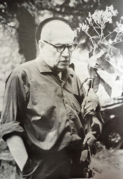 File:Lebrun Jean Paul.jpeg