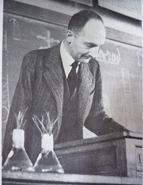 File:Martens Pierre.jpeg