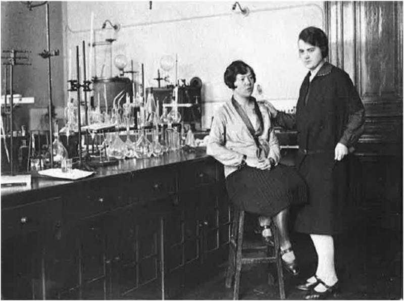 File:Revis jeanne.png