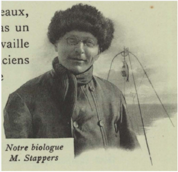 File:Stappersbelgica.png